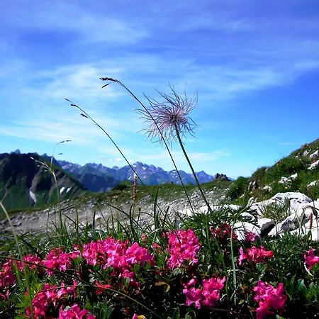 Alpenflair Haus Doris