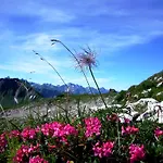 Alpenflair 