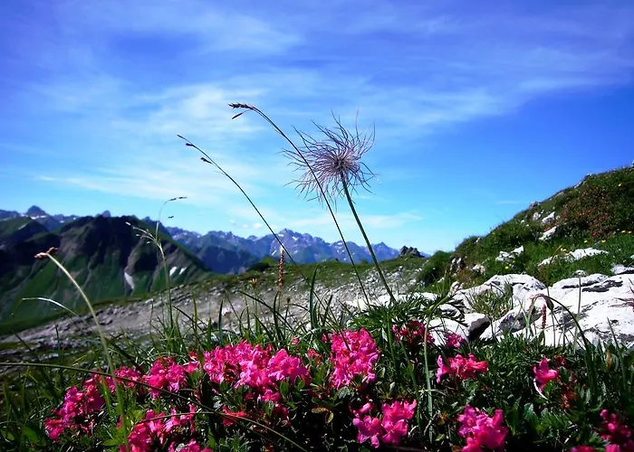 Alpenflair 